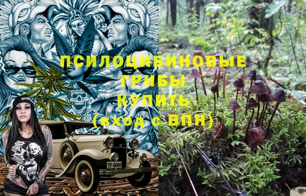 гидропоника Белокуриха