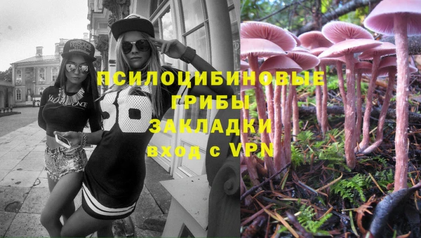 a pvp Богданович